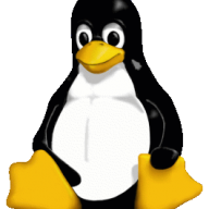 Timmie